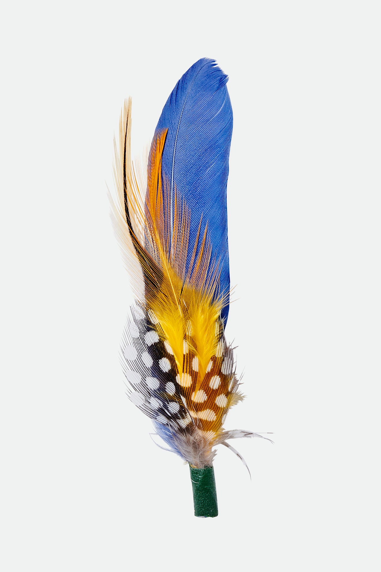 Brixton Keith Hat Feather Accessori Colorate | 728KSYULG